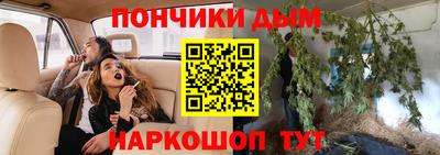 индика Усть-Джегута