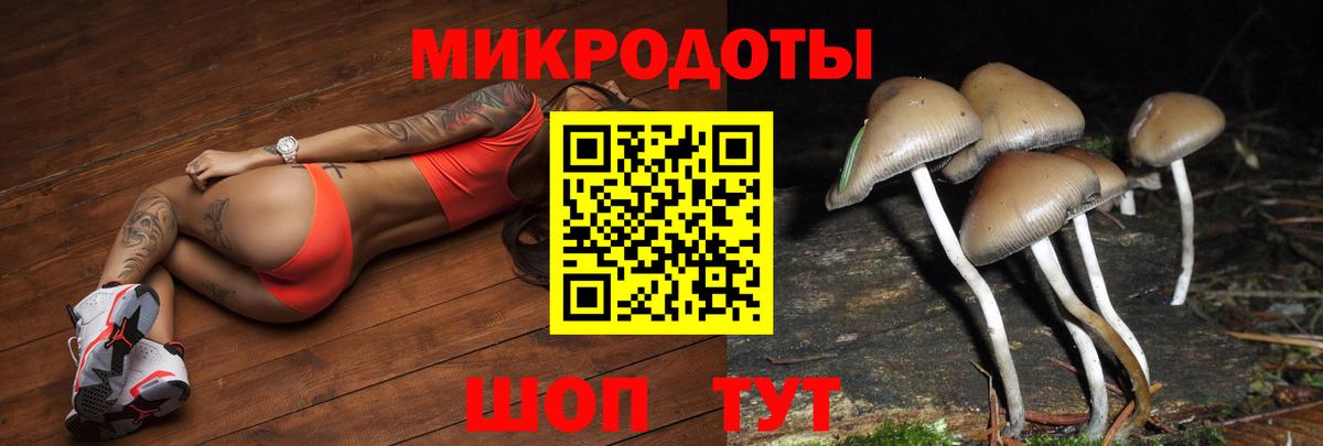 Псилоцибиновые грибы Psilocybe Белово